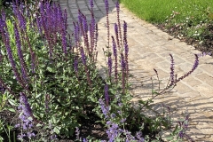 BelindaGarden_012
