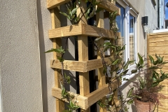 BelindaGarden_030